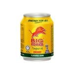 Energy Drink